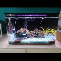 Acquario 70 lt in acrilico