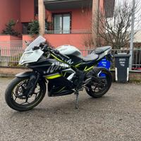 Kawasaki Ninja 125