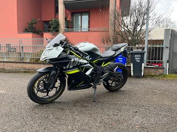 Kawasaki Ninja 125