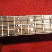 Banjo Gewa 5 Corde Amplificato + Custodia morbida