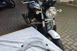 Parabrezza Moto Guzzi Nevada