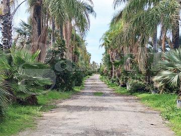 Terreno Agricolo Ragusa [Cod. rif 3278758VRG]