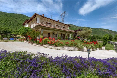 Nel b&b poggio dei pettirossi