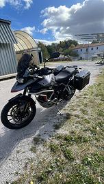 Triumph Tiger 900 Gt Pro - full optional+accessori