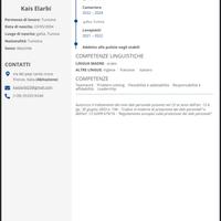 Cameriere / lavapiatti / pulizie in albergo