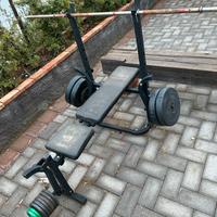 Palestra