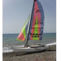 Hobie 15