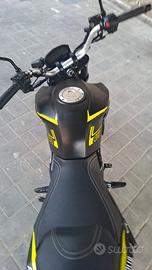 lem brutus 110