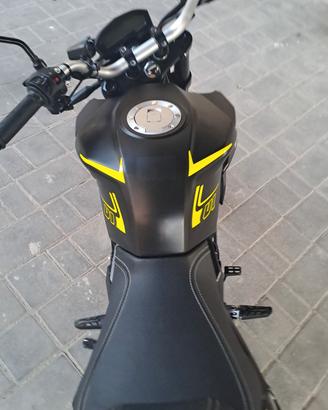 lem brutus 110