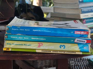 libri matematica bundle