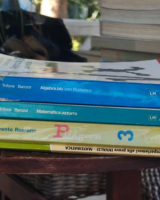 libri matematica bundle