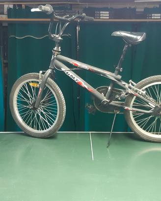 bicicletta