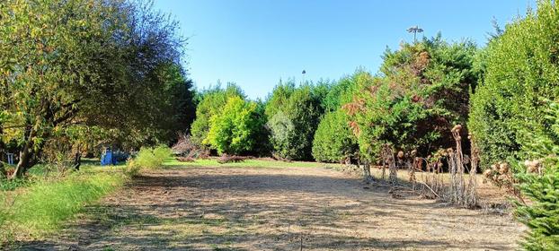 TER. AGRICOLO A BOLOGNA