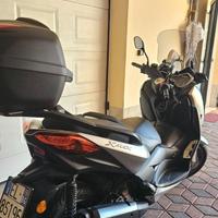 Xmax 300