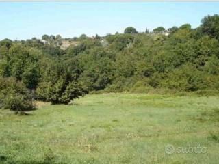 Terreno Agricolo a Palestrina (RM)