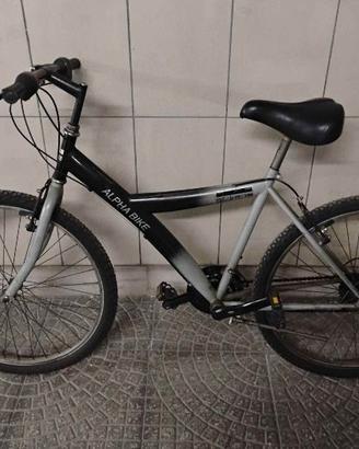 Bici da uomo 