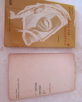 Mario Spegne: i suoi due libri