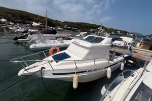 Barca Rio Cabin fish 600 diesel