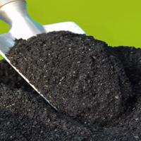 Biochar