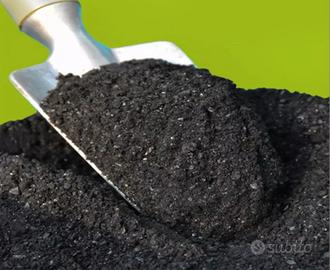 Biochar