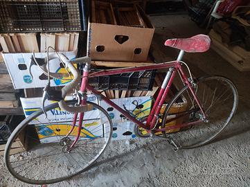Bicicletta da Corsa 