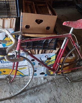 Bicicletta da Corsa 