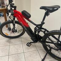 Mtb elettrica Accolmile cola Bear