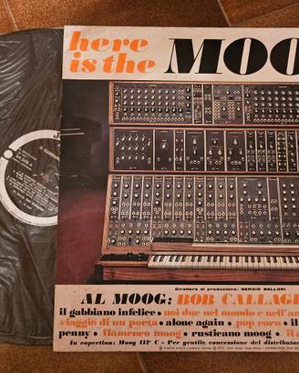vinile 33 giri Al Moog