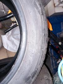 Gomme estive 205.55.17