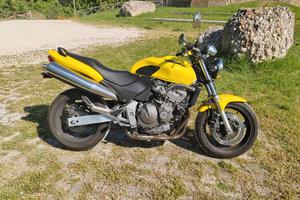Honda Hornet 600