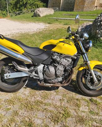 Honda Hornet 600