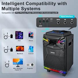 Cassa amplificata GEYGUY