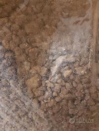 Zeolite granulare per piante 10 kg ( 3/7 mm)