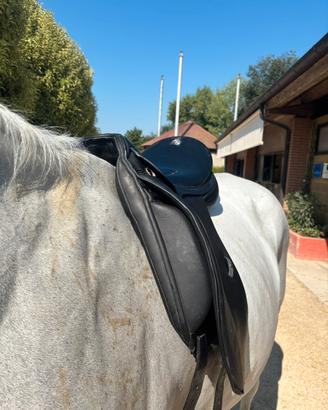 Sella da dressage pariani