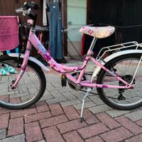 Bicicletta Bambina 20 pollici