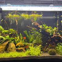 acquario vasca Zolux Idromax 72 Litri