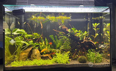 acquario vasca Zolux Idromax 72 Litri