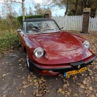 Alfa Romeo Spider 3