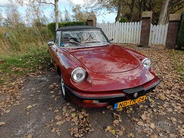 Alfa Romeo Spider 3