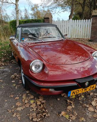 Alfa Romeo Spider 3