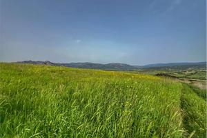 Terreno collinare vista panoramica fiume Coghinas