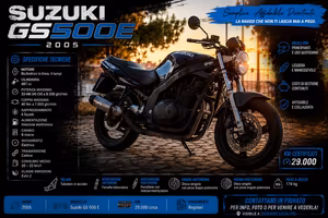 Suzuki Gs 500 
