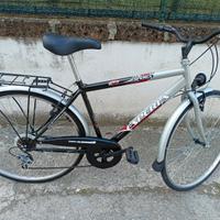 bici da uomo 