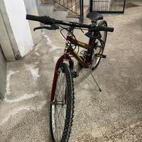 Bici Marzano