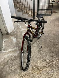 Bici Marzano