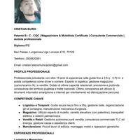 Autista Magazziniere XL