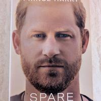 Spare - il minore  