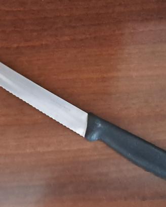 VICTORINOX coltellino nuovo per agrumi o arrosto
