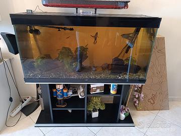 acquario Ciano LT.220