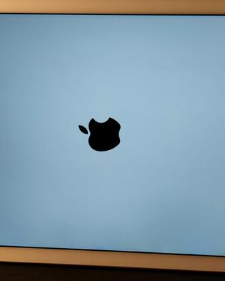 Ipad apple
